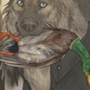 To be a good hunter, it's always good for a dog to practice! To be a good hunter, it's always good for a dog to practice!